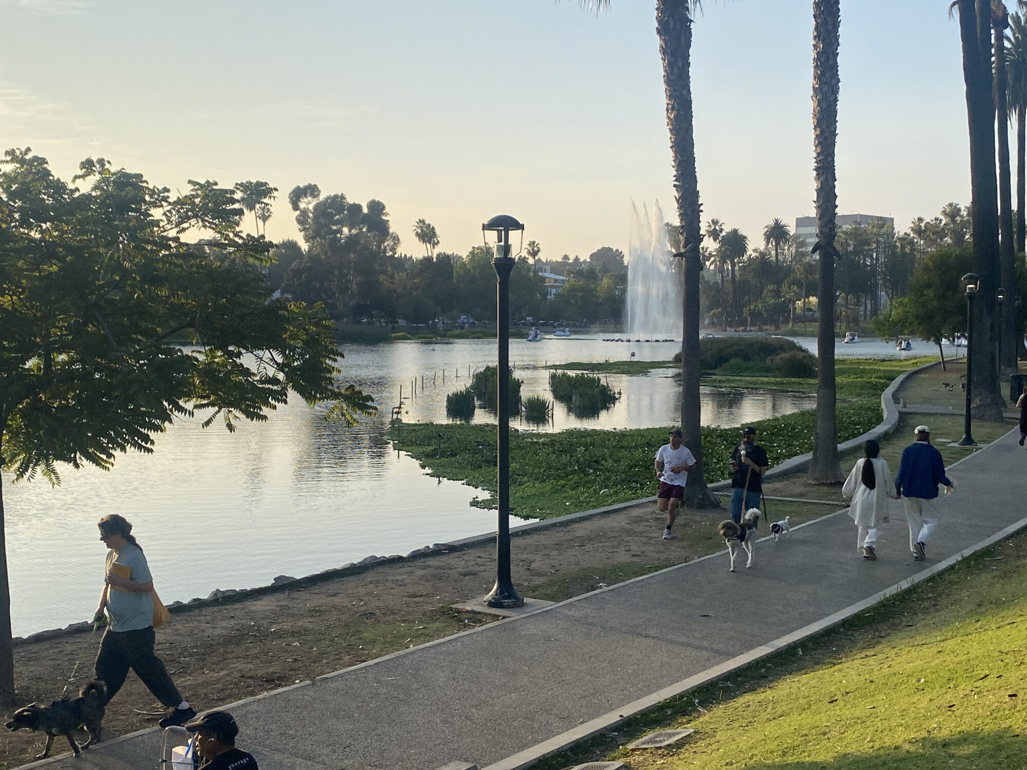 Dog walkers, joggers, and walkers at Echo Park. Fountain and Swan Boats on Echo Park Lake in background.