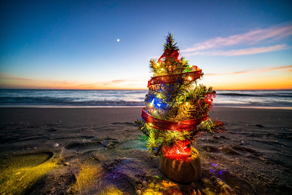 Small Christmas Tree on the sand, ocean in the background as the sun sets
